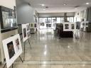 نمایشگاه عکس با محوریت فجایع انسانی در حال وقوع در غزه