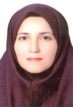 شادی حسن آجیلی